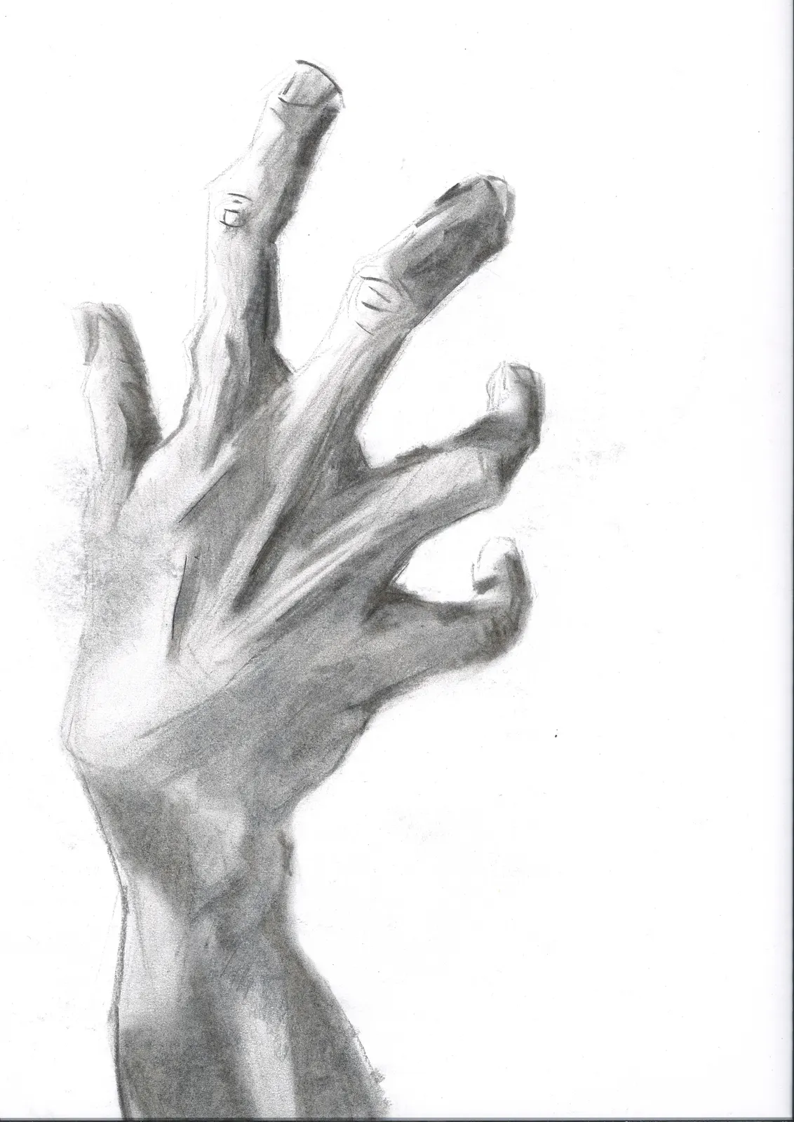 Mi mano, CUE-010. Grafito, 29,7 × 42 cm.