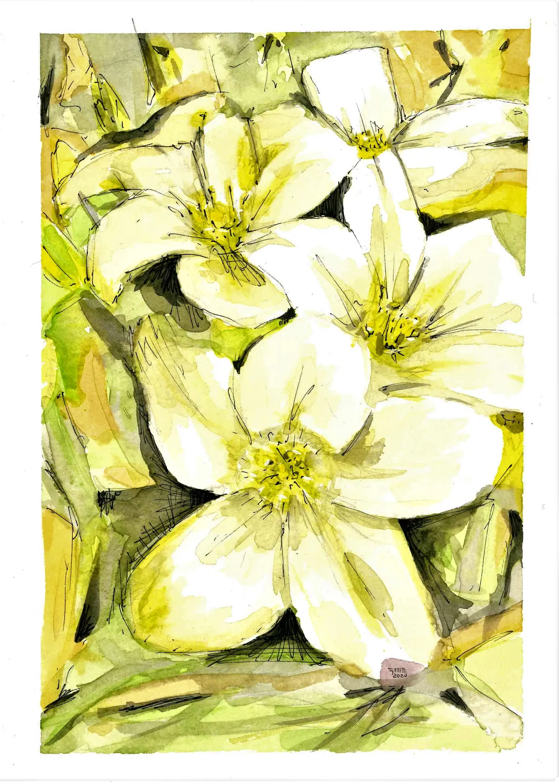 Azahares, VAR-002. Acuarela, 17,5 × 25 cm.